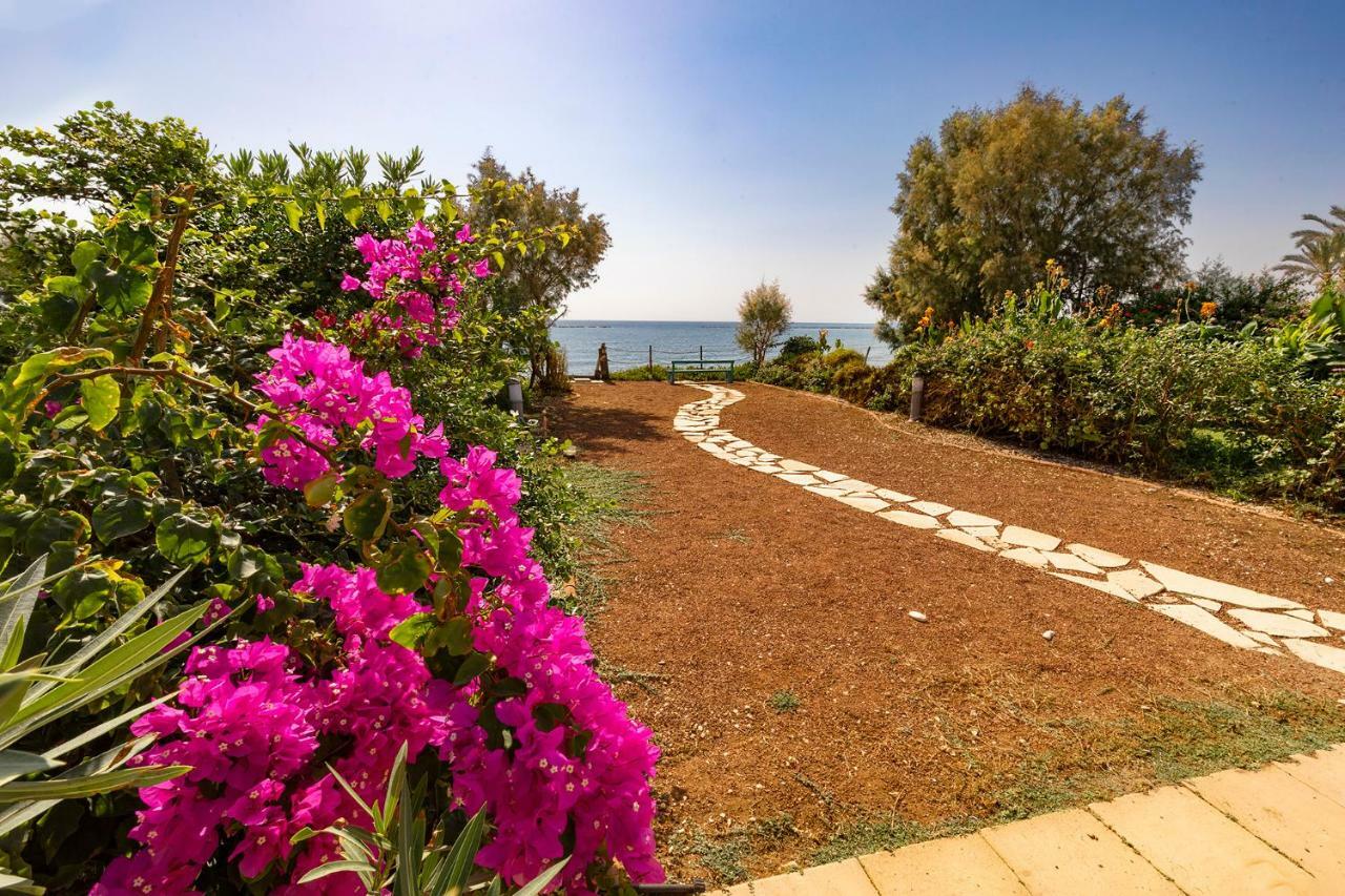 Appartamento Mariliz Larnaca Esterno foto